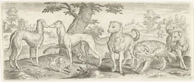 Honden