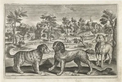 Honden