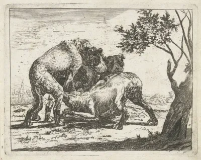 Honden bij een teefje