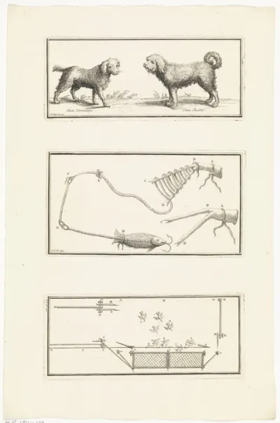 Honden, lokaas en vogelval