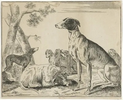 Hondenkennel
