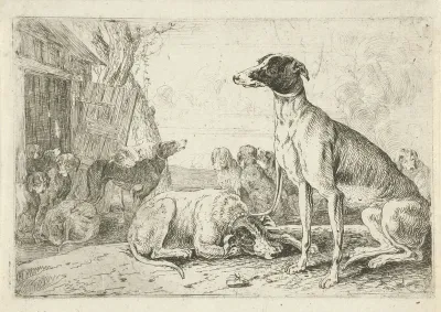 Hondenkennel