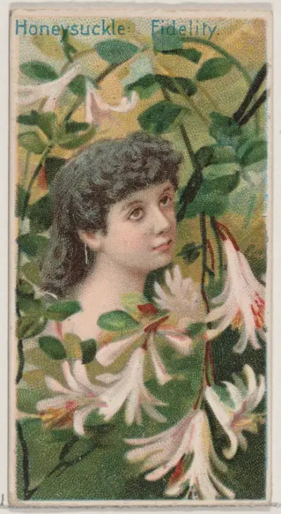 Honeysuckle: Fidelity, from the series Floral Beauties and Language of Flowers (N75) for Duke brand cigarettes