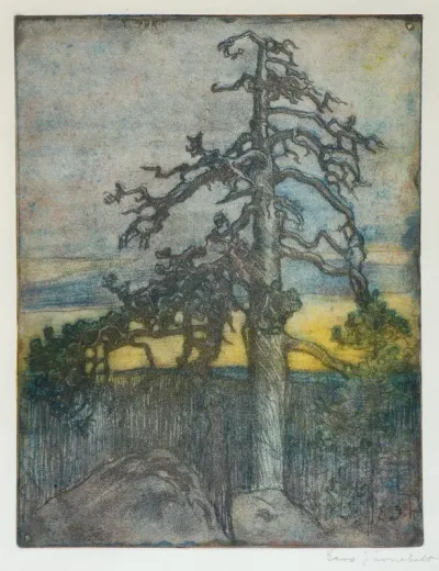 Honka