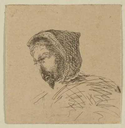 Hooded Male Head (from Sketches on The Coast Survey Plate)