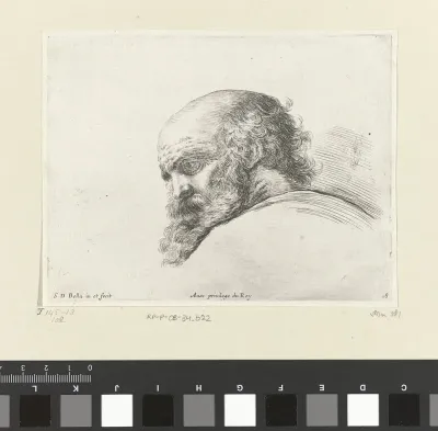 Hoofd van een kale oude man met baard, links naar beneden kijkend (mogelijk H. Petrus)