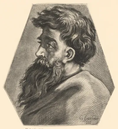 Hoofd van een man met baard