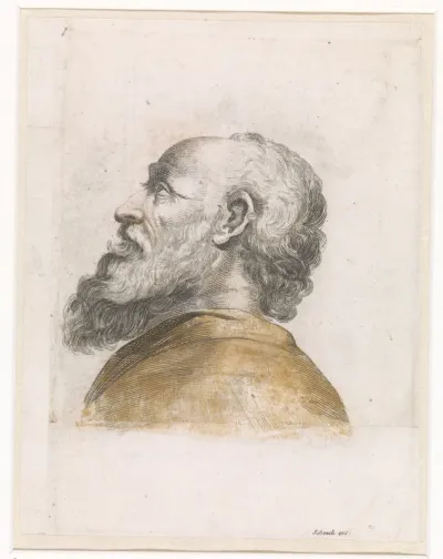 Hoofd van een man met baard en profile naar links