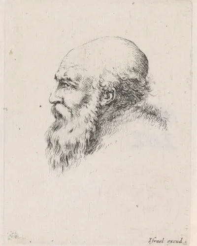 Hoofd van een oude kale man met baard, in profiel naar links