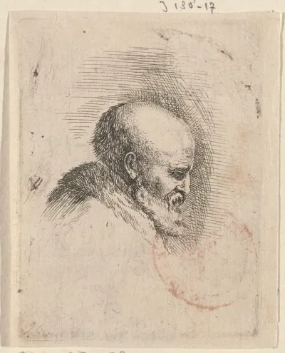 Hoofd van een oude kale man met baard, in profiel naar rechts
