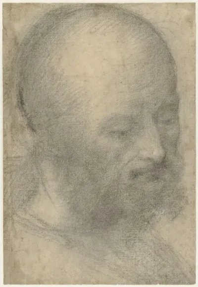 Hoofd van een oude man met baard