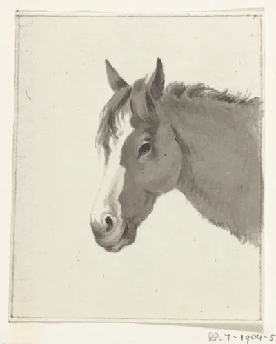 Hoofd van een paard
