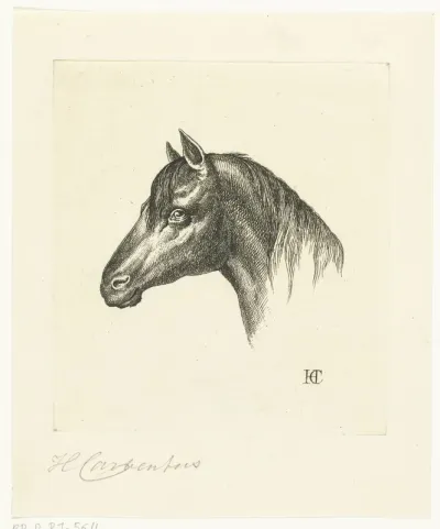 Hoofd van een paard