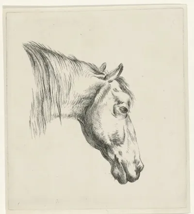 Hoofd van een paard