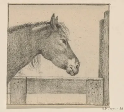 Hoofd van een paard bij een hek, naar rechts