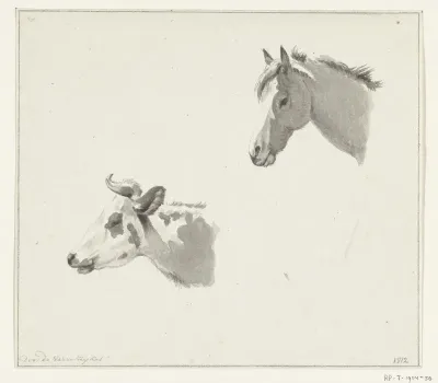 Hoofd van een paard en de kop van een koe
