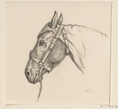 Hoofd van een paard met een kap op, naar links