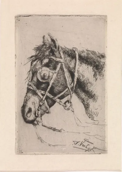 Hoofd van een paard, met hoofdstel en oogkleppen