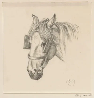 Hoofd van een paard met oogkleppen, naar links