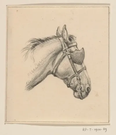 Hoofd van een paard met oogkleppen, naar rechts