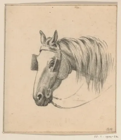 Hoofd van een paard met oogkleppen op, naar links