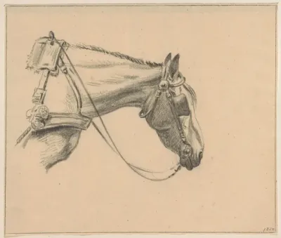 Hoofd van een paard met oogkleppen op, naar rechts
