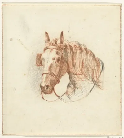 Hoofd van een paard met oogkleppen, van voren