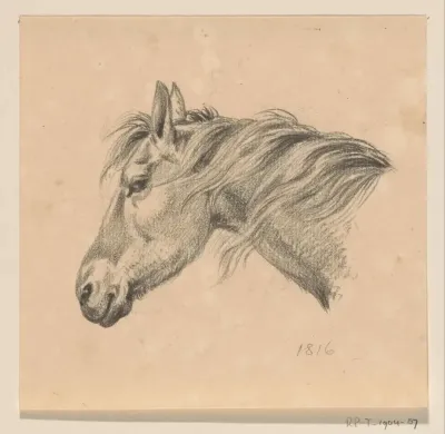 Hoofd van een paard, naar links