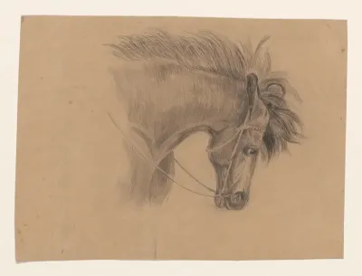 Hoofd van een paard, naar rechts