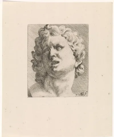 Hoofd van een van de zonen van Laocoön, vooraanzicht