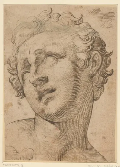 Hoofd van een zoon van Laocoön