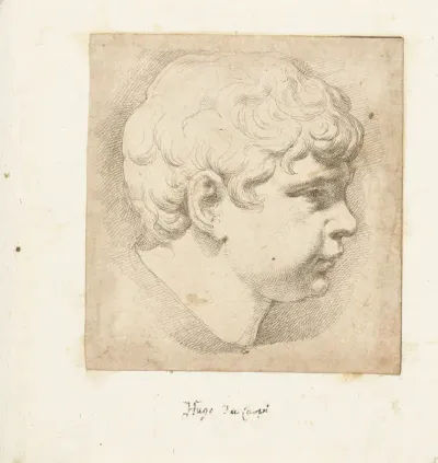 Hoofd van jongen