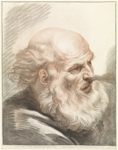 Hoofd van oude man met baard