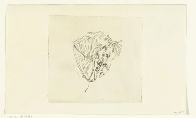 Hoofd van paard met teugels