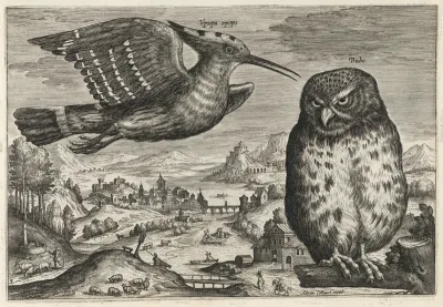 Hoopoe and Owl