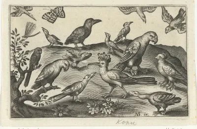 Hop en andere vogels