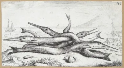Hornfisk (Admos)