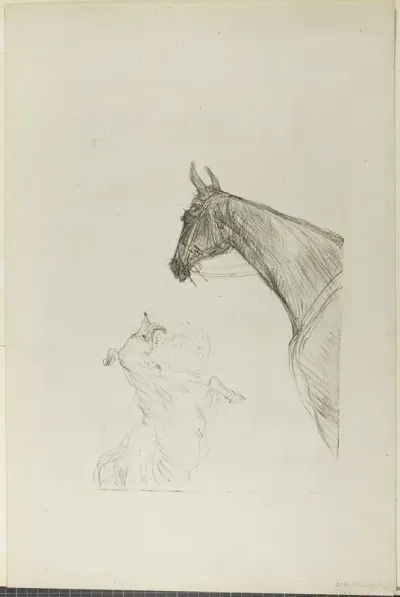 Horse and Collie