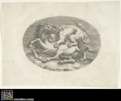 Horse attacked by a lion