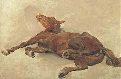 Horse lying on the ground.