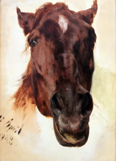Horse Study