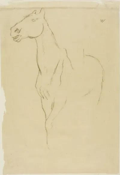 Horse Turned Three-Quarters