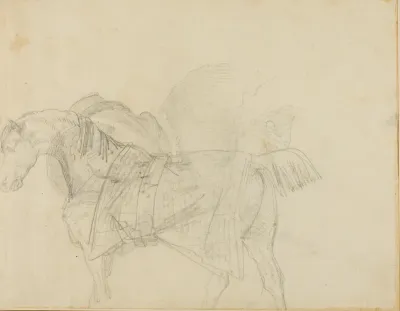 Horse Wearing a Blanket