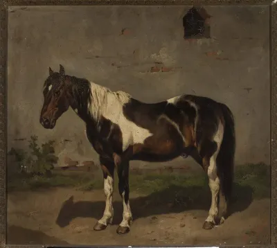 Horse with the barn in the background