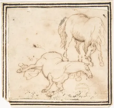 Horses