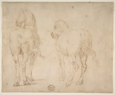 Horses