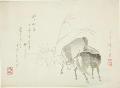 Horses and grasses