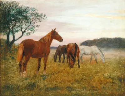 Horses are grazing on a field in the morning haze.