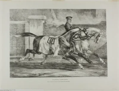 Horses Exercising, plate 6 from Various Subjects Drawn from Life and on Stone (The English Suite)