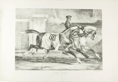 Horses Exercising, plate 6 from Various Subjects Drawn from Life on Stone